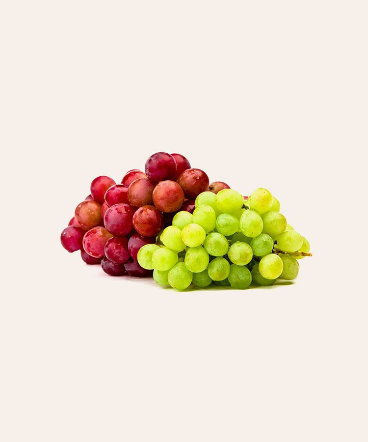 product5